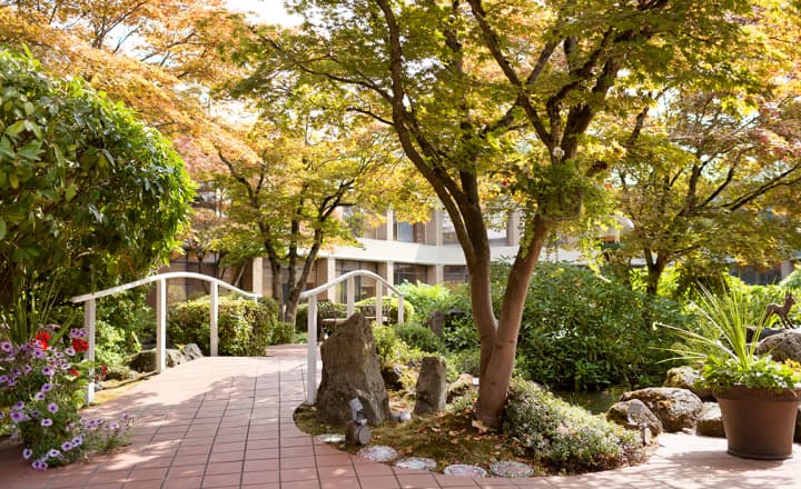 Arbutus-home-outdoor_courtyard_area_with_bridge Arbutus-home-outdoor_courtyard_area_with_bridge