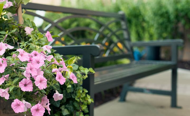 Whitby-home-closeup_of_outdoor_bench_and_flowers Whitby-home-closeup_of_outdoor_bench_and_flowers