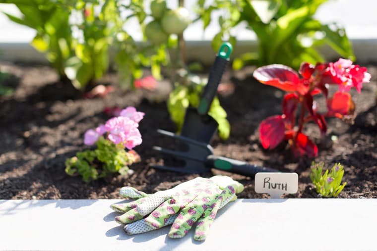 On The Gorge - Garden gloves Gardening gloves beside garden at Amica On The Gorge